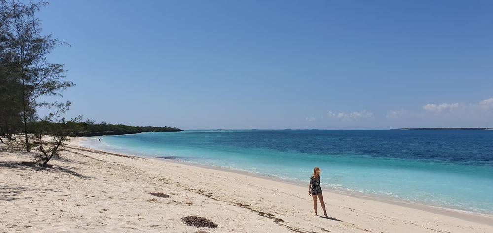 International Blog: Femke Oomen (Zanzibar)